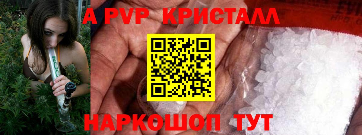 Alfa_PVP СК Борисоглебск