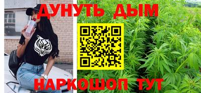 стафф Владимир
