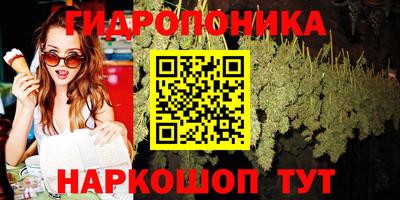 эйфоретик Владивосток