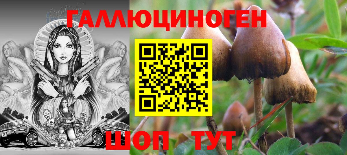 Псилоцибиновые грибы Psilocybine cubensis Борисоглебск