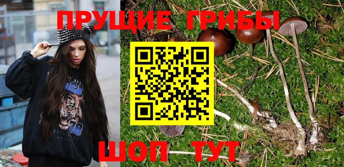 Псилоцибиновые грибы MAGIC MUSHROOMS  где продают   Борисоглебск  Вход с VPN  Галлюциногенные грибы GOLDEN TEACHER 